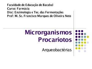 Aula 5 - Principais grupos de microrganismos - parte 2.pdf