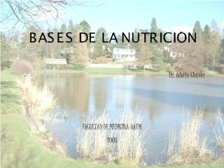 BASES DE LA NUTRICION.pdf
